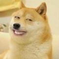 大摩羯的头像