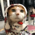 书友1817349000的头像