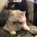 书友916506749的头像