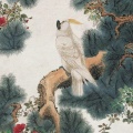 风油精的头像