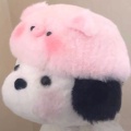 我是好孩子的头像