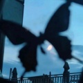 狐狸老婆是我的的头像