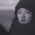 藤井树的头像
