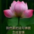 书友1837267654的头像