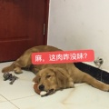 仙女家的小阿丹的头像