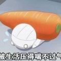 书友928264545的头像