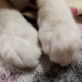 听到就心酸的头像