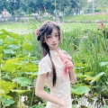 半熟草莓的头像