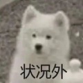 椰子好吃的头像