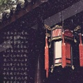 书友384579939的头像