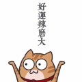 黑兔仔的头像