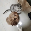 听懂掌声的头像