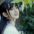 白茶的头像