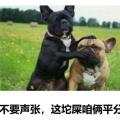 　　　　    　  路的头像