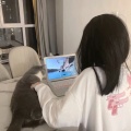 勿念的头像