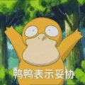 lll的头像