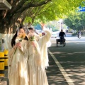 波子盆儿的头像