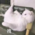 一个懒的头像