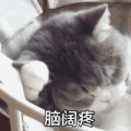 脑阔疼的头像