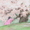 青云的头像