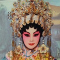 醉貓的头像