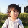 书友934196704的头像
