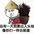 书友311781769的头像