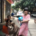 书友1331198208的头像