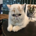 BB的头像