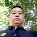 稳重的猎人在阵前饶舌的头像