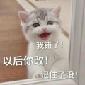 养鱼的头像