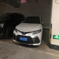 漂亮的小脑斧在喊麦的头像
