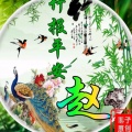 书友734977527的头像