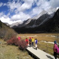 书友206840552的头像