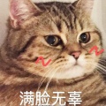 千玺爱吃西兰花的头像