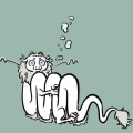 吔丨你礼貌吗的头像