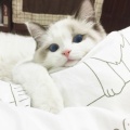 书友873070197的头像