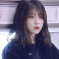 树深时见鹿的头像