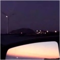 爱看书的猫的头像