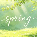 springggg的头像