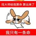 贪生passl的头像