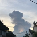 千寻的龙猫的头像