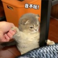 与咱无关的头像