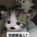 春景的头像