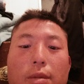 沉稳的骑士在种玫瑰的头像