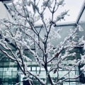 204032496的头像
