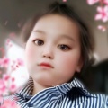 书友1171769240的头像