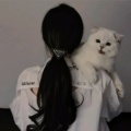 苏珞的头像