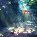 angelsky的头像