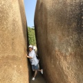 糯糯的头像